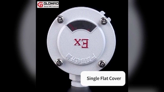 GLO-AH صندوق توصيل مقاوم للانفجار