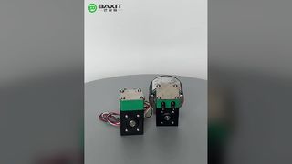 NF30 مضخة الحجاب الحاجز Liguid
