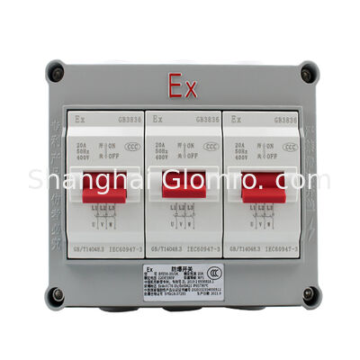 20A Explosion-Proof Air Switch Three-section Design AC 220V/380V Zone 1/2 Application