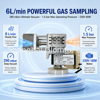 BAXIT NWGWB-89 Continuous Working High Temperature Sampling Pump Diaphragm Vacuum Pump for Online Gas Analyzer