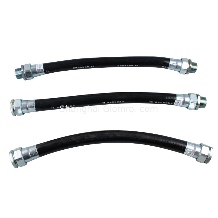 ATEX Equivalent Exd Standard Explosion Proof Flexible Conduit BNG Series