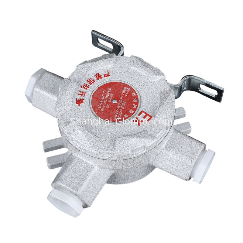 Explosion-proof and Dustproof Special AH-IIC Ceiling Pendant Junction Box Explosion-proof Threading Junction Box