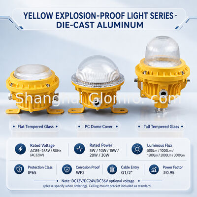 GLOMRO ضوء منطقة LED مضاد للانفجار الثقيل 30W SMD 3000Lm AC85V-265V لمصانع البتروكيماويات