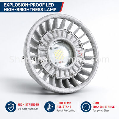 إضاءة LED مقاومة للانفجار 20 واط/30 واط/40 واط/50 واط/60 واط/70 واط/80 واط/100 واط/120 واط IP66 من الألومنيوم المصبوب لإضاءة المواقع الخطرة خيارات طاقة متعددة